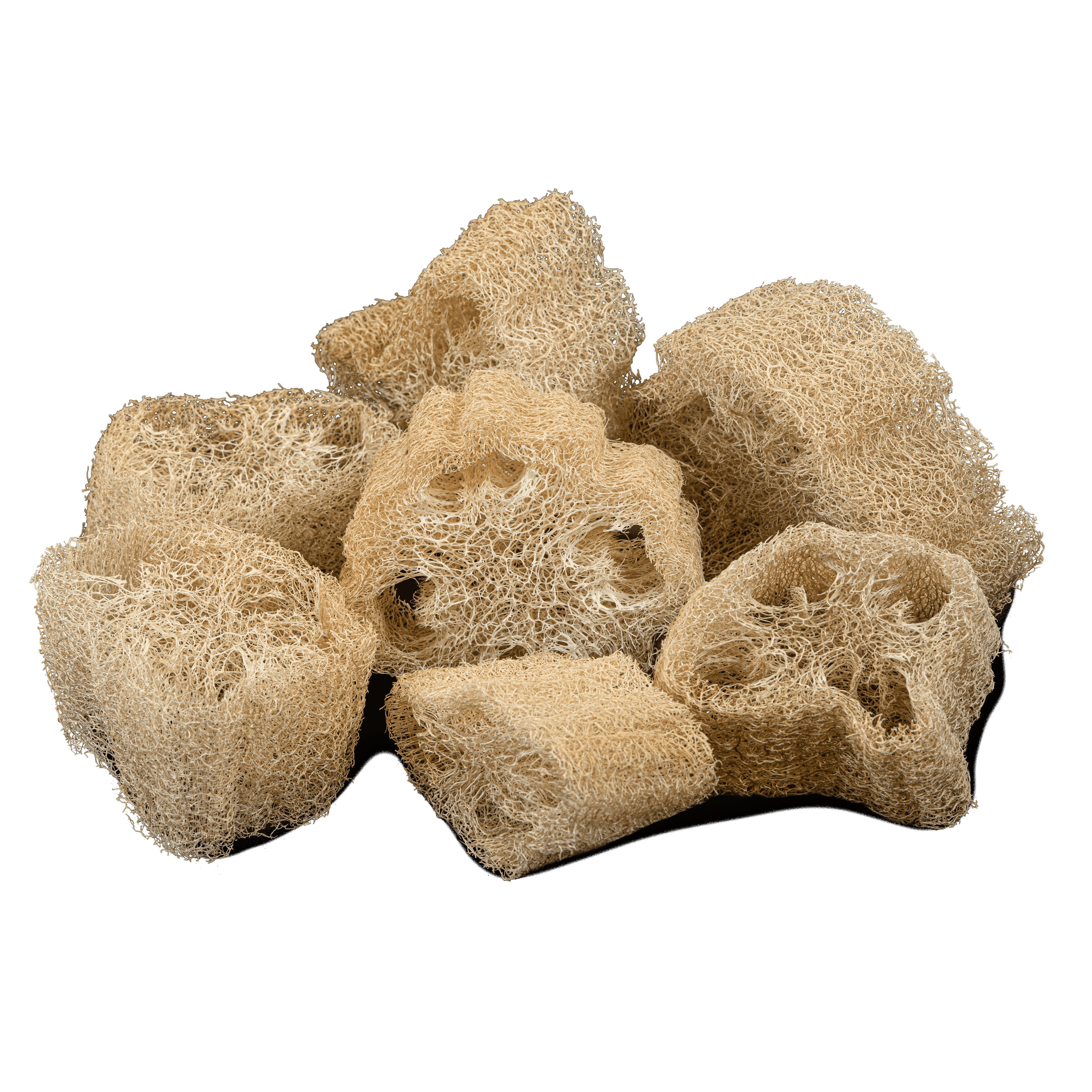 Loofah Moments™ - Reinigungsschwämme | Zero Plastic
